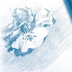CLAIREFONTAINE Bloc à Dessin à Grain 180g - A3 - 30 Pages 7 CLAIREFONTAINE Bloc à Dessin à Grain 180g - A3 - 30 Pages -Canson Boutique bloc a dessin a grain 180g a3 30 pages p 3
