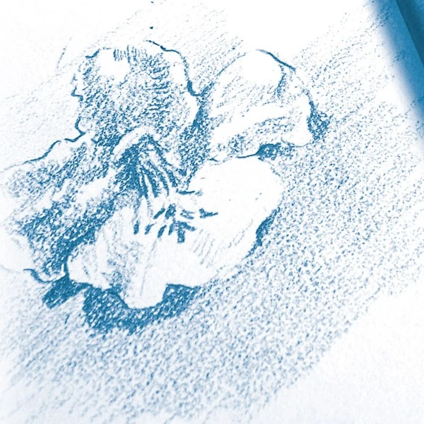 CLAIREFONTAINE Bloc à Dessin à Grain 180g - A3 - 30 Pages 5 CLAIREFONTAINE Bloc à Dessin à Grain 180g - A3 - 30 Pages – Image 3