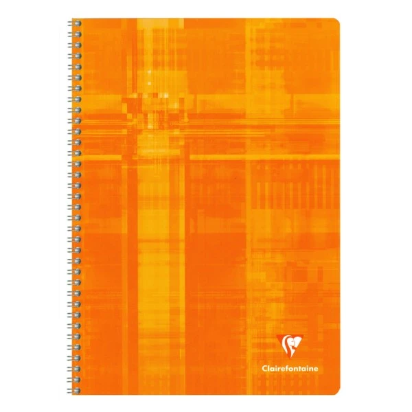 Cahier 21x29,7 - 100 Pages - Quadrillé 4x4 - Clairefontaine