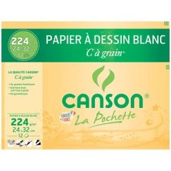 CANSON Papier à Dessin C à Grain 320 X 240 Mm 224 G/m2