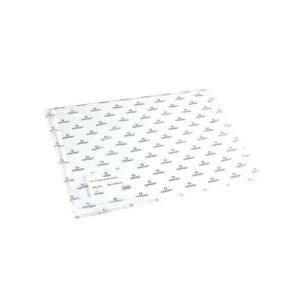 Canson Papier Bristol - 750 X 1100 Mm - 250 G/m² - Blanc